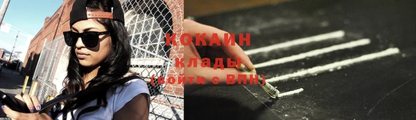 дмт Богданович