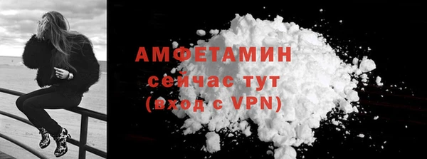 дмт Богданович