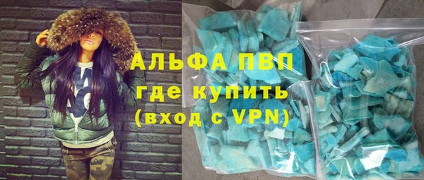 дмт Богданович