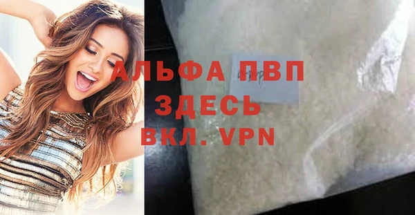 дмт Богданович